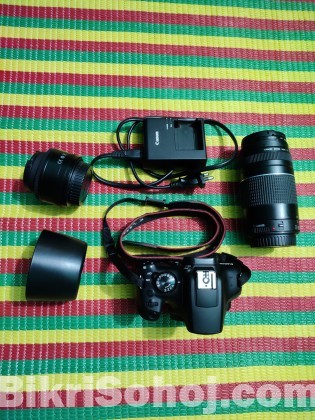 Canon 1300d with 75-300 zoom lens, 50mm prime lens
